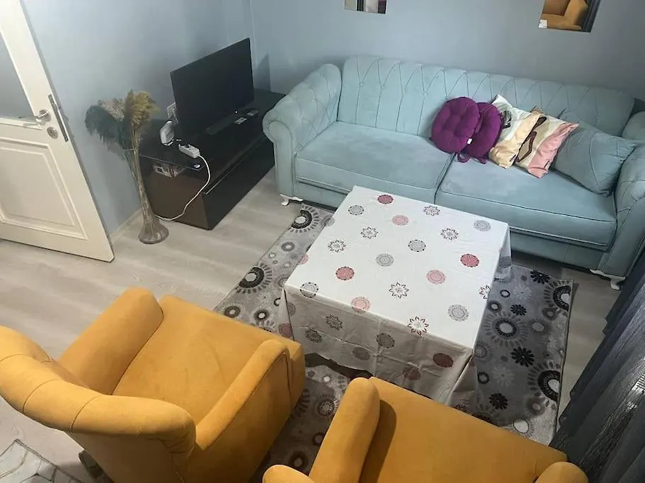 Istanbul-Sisli-Halide Edip Adivar Mahallesinde Apartment Turkey